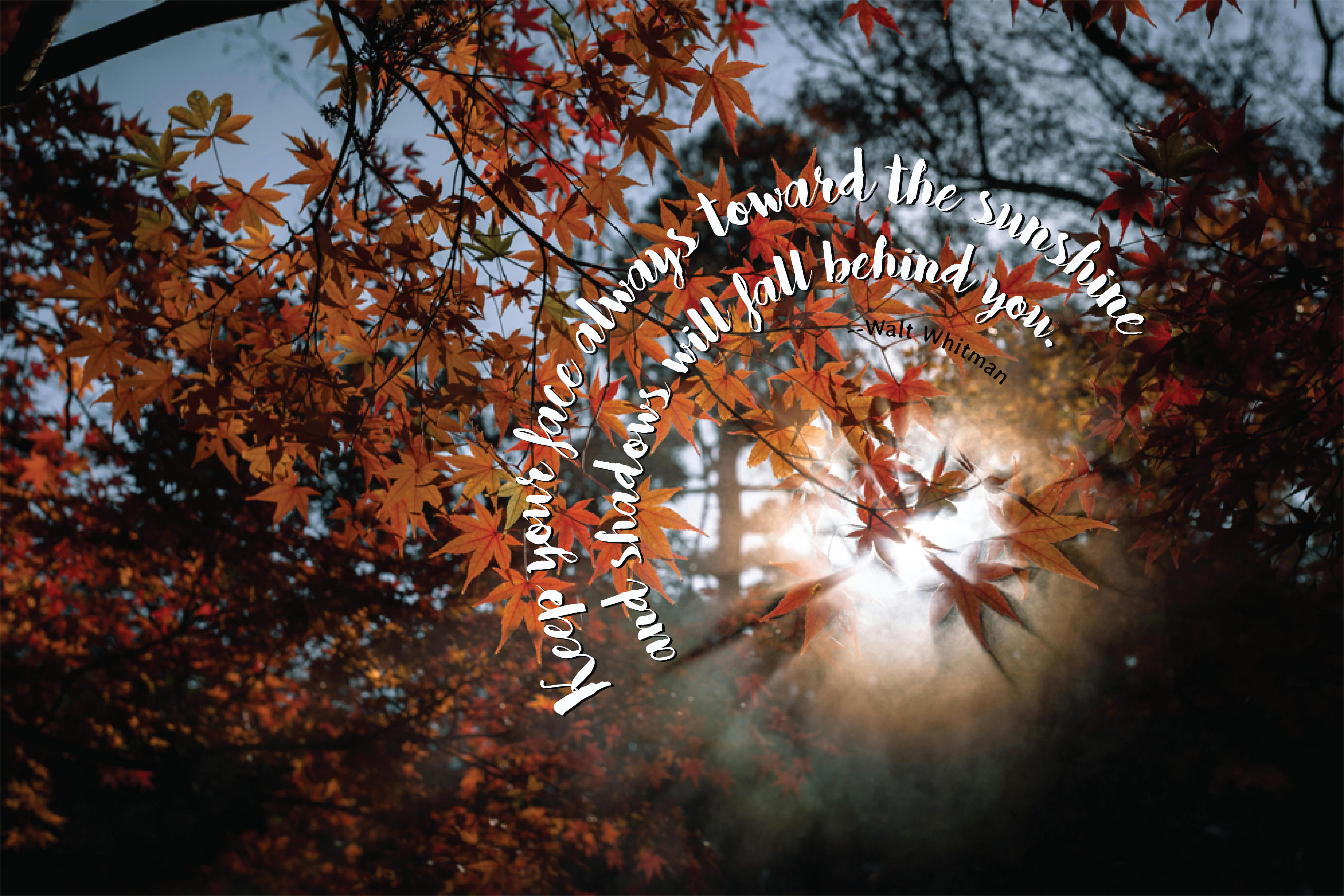 Beautiful autumn image